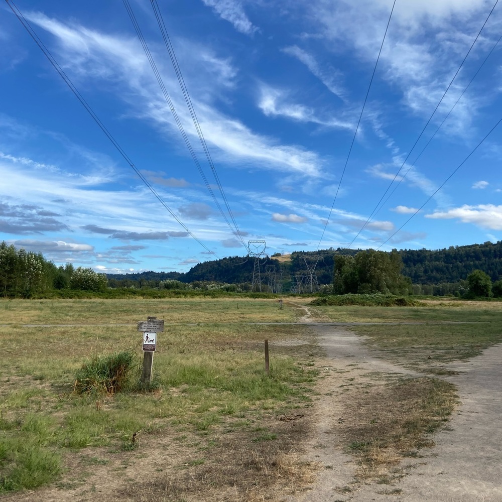 Meet your Posher, Brandie